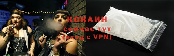 хмурый Нея