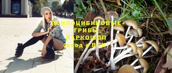 прущие крисы Алзамай