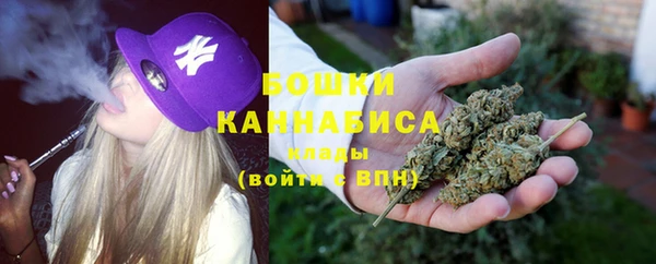 хмурый Нея