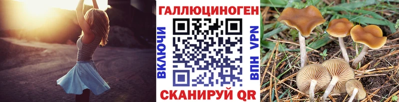 Галлюциногенные грибы ЛСД  Североуральск 